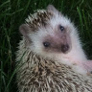 Meet your Posher, Kristina